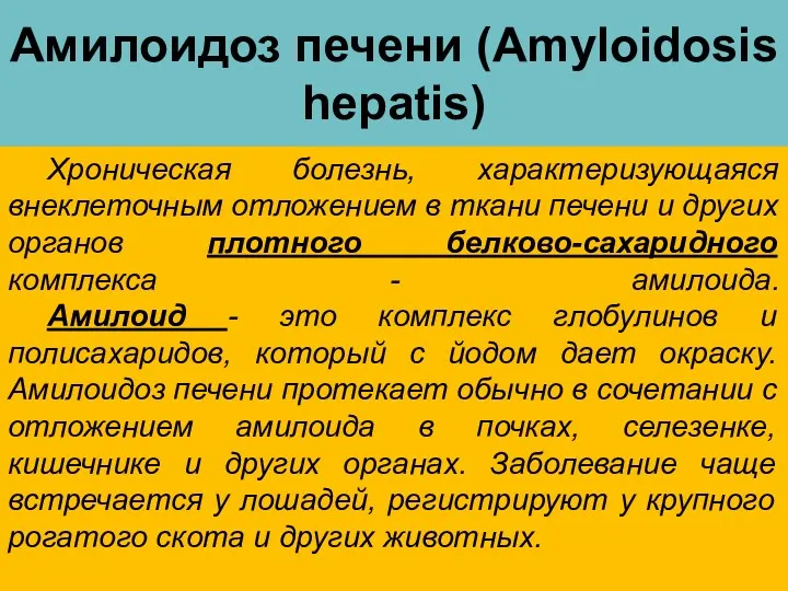 Амилоидоз печени (Amyloidosis hepatis) Хроническая болезнь, характеризующаяся внеклеточным отложением в