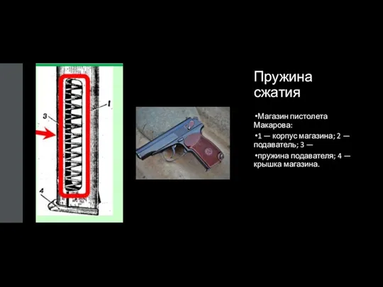 Пружина сжатия Магазин пистолета Макарова: 1 — корпус магазина; 2