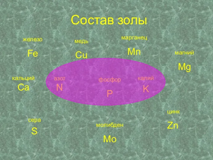 Состав золы азот N фосфор P кальцийCa медь Cu железо