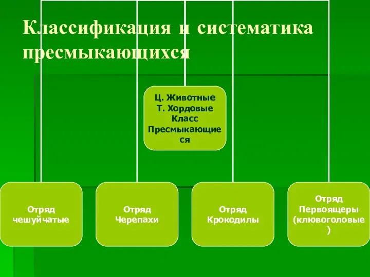 Классификация и систематика пресмыкающихся