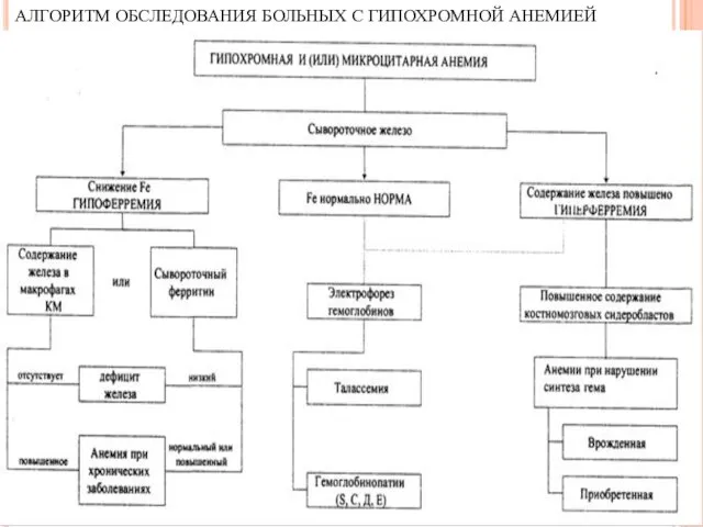 АЛГОРИТМ ОБСЛЕДОВАНИЯ БОЛЬНЫХ С ГИПОХРОМНОЙ АНЕМИЕЙ