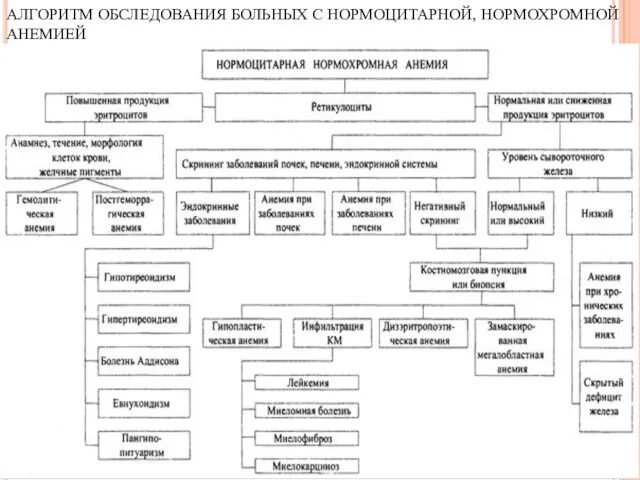 АЛГОРИТМ ОБСЛЕДОВАНИЯ БОЛЬНЫХ С НОРМОЦИТАРНОЙ, НОРМОХРОМНОЙ АНЕМИЕЙ