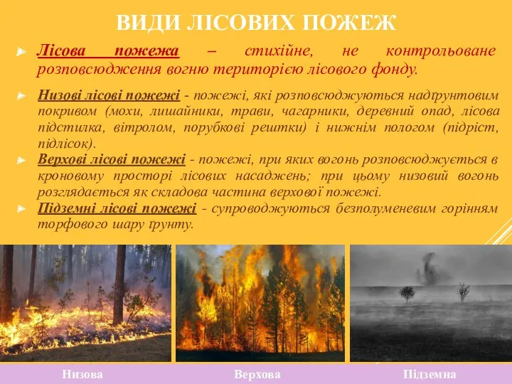 ВИДИ ЛІСОВИХ ПОЖЕЖ Лісова пожежа – стихійне, не контрольоване розповсюдження