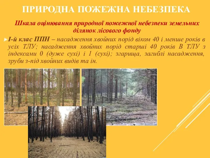 ПРИРОДНА ПОЖЕЖНА НЕБЕЗПЕКА Шкала оцінювання природної пожежної небезпеки земельних ділянок