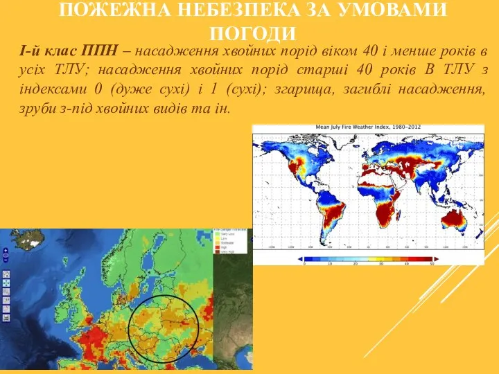 ПОЖЕЖНА НЕБЕЗПЕКА ЗА УМОВАМИ ПОГОДИ I-й клас ППН – насадження хвойних порід віком