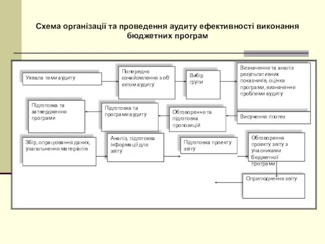 Схема організації та проведення аудиту ефективності виконання бюджетних програм