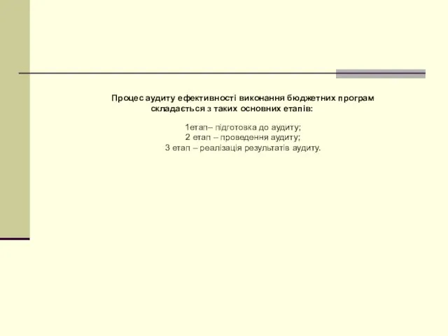 Процес аудиту ефективності виконання бюджетних програм складається з таких основних