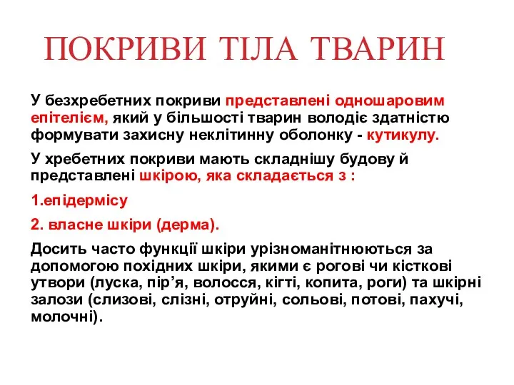 ПОКРИВИ ТІЛА ТВАРИН У безхребетних покриви представлені одношаровим епітелієм, який у більшості тварин