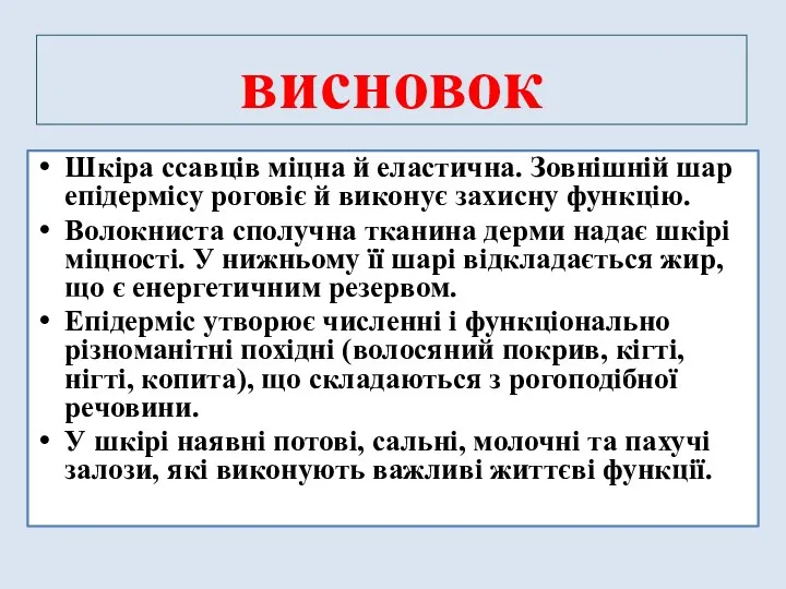 висновок Шкіра ссавців міцна й еластична. Зовнішній шар епідермісу роговіє й виконує захисну