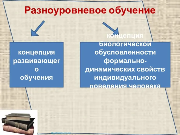 Разноуровневое обучение концепция развивающего обучения концепция биологической обусловленности формально-динамических свойств индивидуального поведения человека