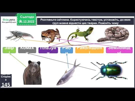 06.12.2022 Сьогодні Розгляньте світлини. Користуючись текстом, установіть, до яких груп