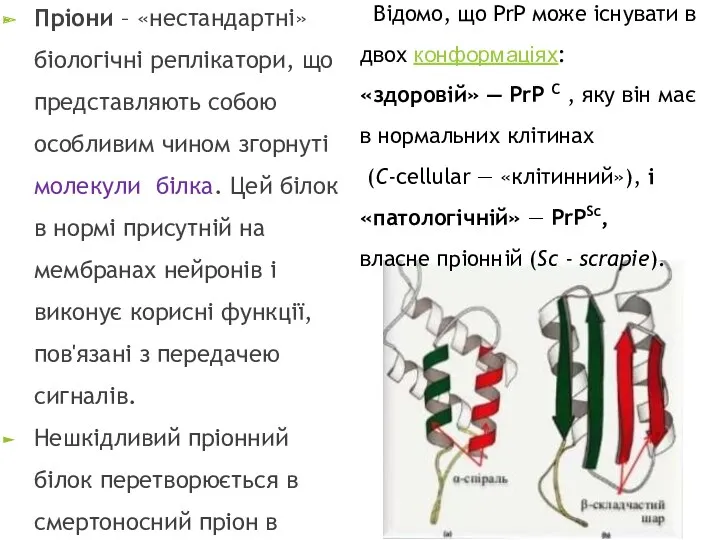 Пріони – «нестандартні» біологічні реплікатори, що представляють собою особливим чином згорнуті молекули білка.