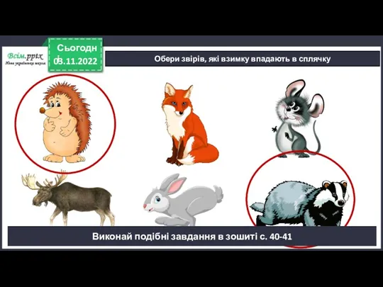 03.11.2022 Сьогодні Обери звірів, які взимку впадають в сплячку Виконай подібні завдання в зошиті с. 40-41