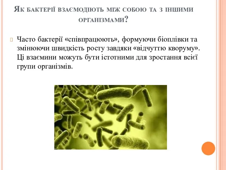 Як бактерії взаємодіють між собою та з іншими організмами? Часто