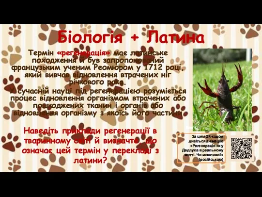 Біологія + Латина Термін «регенерація» має латинське походження й був