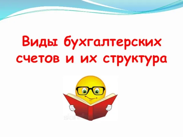 Виды бухгалтерских счетов и их структура