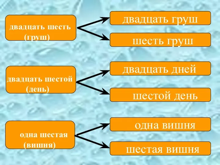 двадцать шесть (груш) двадцать шестой (день) одна шестая (вишня) двадцать груш шесть груш