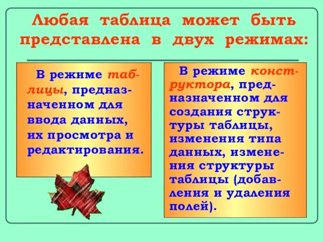 Любая таблица может быть представлена в двух режимах: В режиме таб-лицы, предназ-наченном для