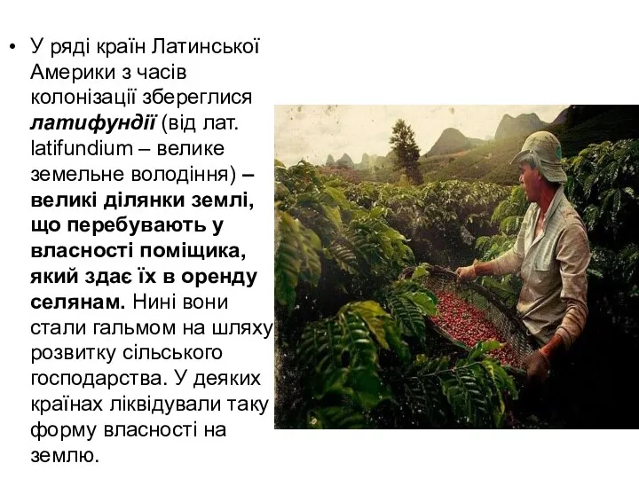 У ряді країн Латинської Америки з часів колонізації збереглися латифундії