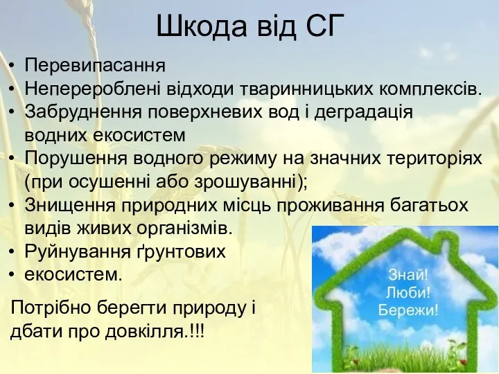 Шкода від СГ Перевипасання Неперероблені відходи тваринницьких комплексів. Забруднення поверхневих