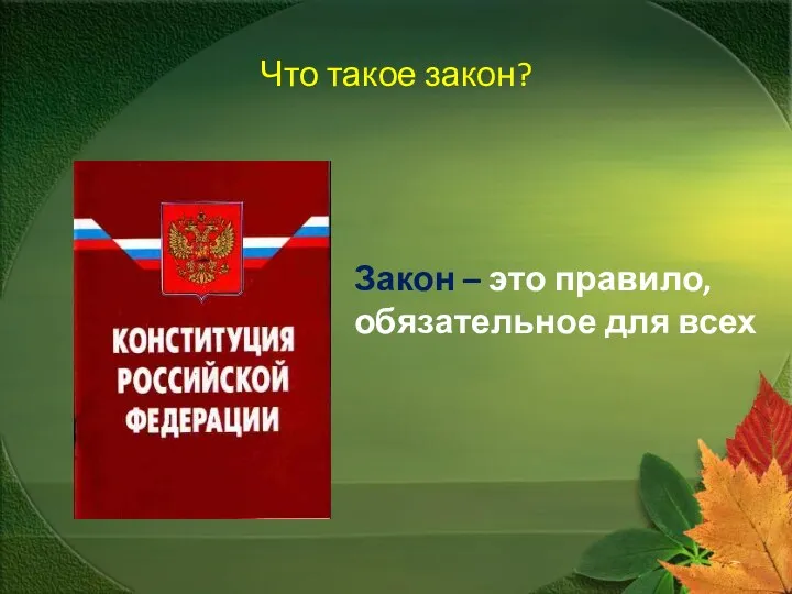 Что такое закон? Закон – это правило, обязательное для всех