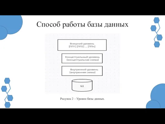 Способ работы базы данных Рисунок 2 – Уровни базы данных.