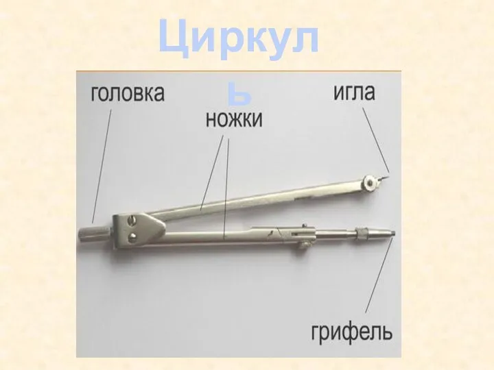 Циркуль