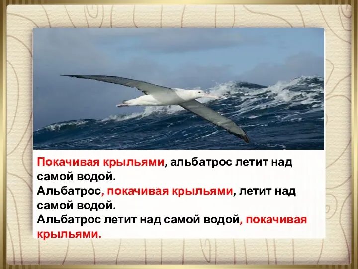 Покачивая крыльями, альбатрос летит над самой водой. Альбатрос, покачивая крыльями, летит над самой