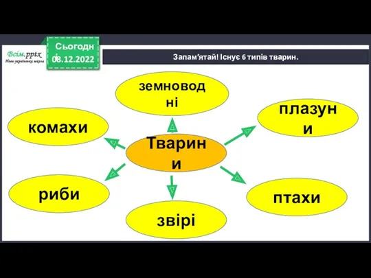 08.12.2022 Сьогодні Запам′ятай! Існує 6 типів тварин. Тварини птахи плазуни комахи земноводні риби звірі