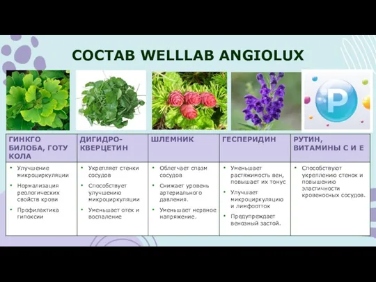 СОСТАВ WELLLAB ANGIOLUX