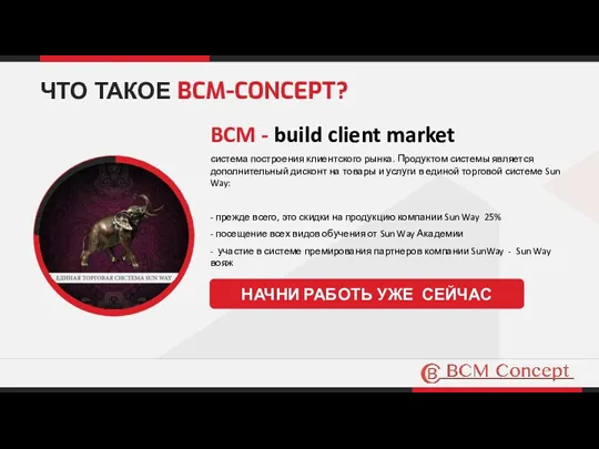 BCM - build client market система построения клиентского рынка. Продуктом системы является дополнительный