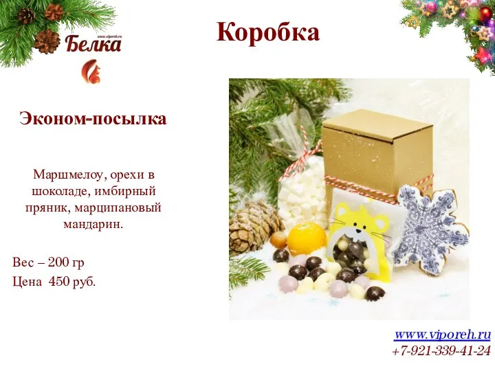 Коробка www.viporeh.ru +7-921-339-41-24 Эконом-посылка Маршмелоу, орехи в шоколаде, имбирный пряник,