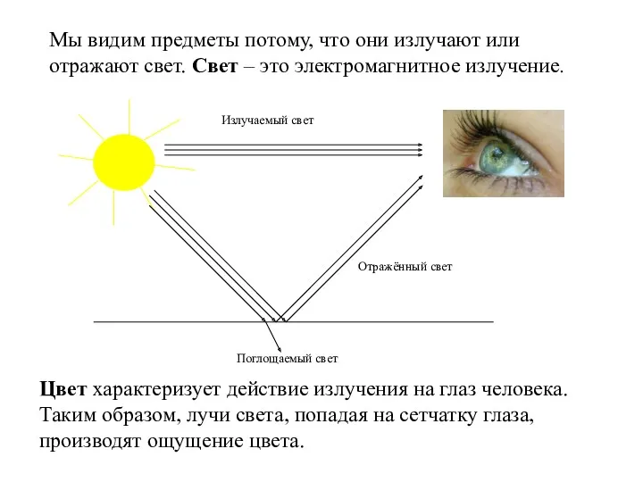 Мы видим предметы потому, что они излучают или отражают свет.