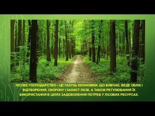 . ЛІСОВЕ ГОСПОДАРСТВО – ЦЕ ГАЛУЗЬ ЕКОНОМІКИ, ЩО ВИВЧАЄ, ВЕДЕ ОБЛІК І ВІДТВОРЕННЯ,