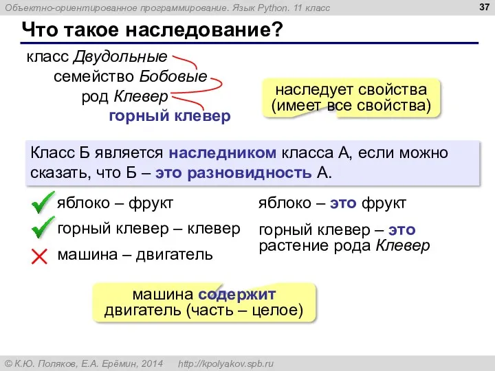 Что такое наследование? класс Двудольные семейство Бобовые род Клевер горный