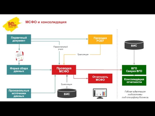 МСФО и консолидация Отчетность МСФО ВИС ВГО Сверка ВГО Консолидация