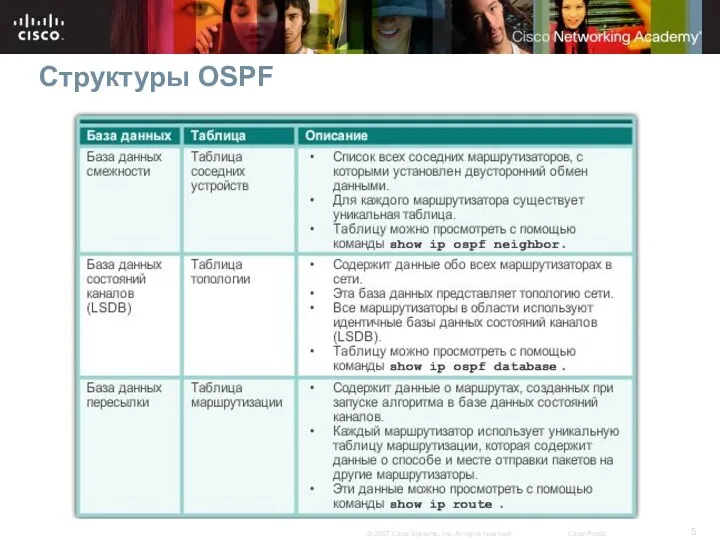 Структуры OSPF