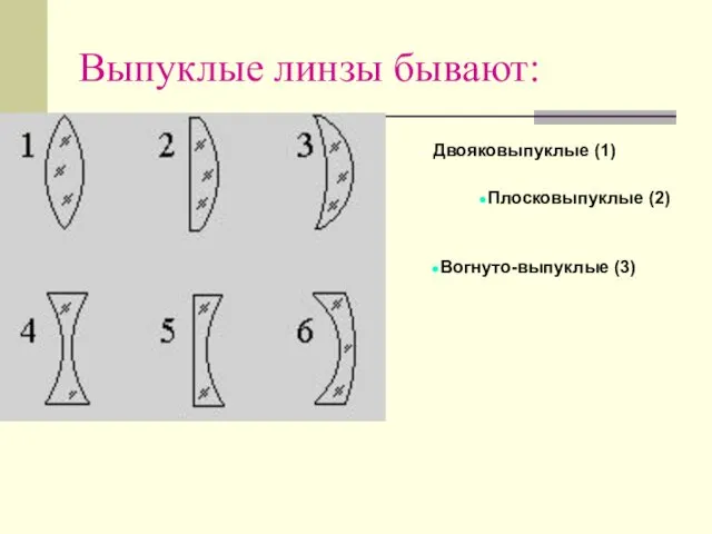 Выпуклые линзы бывают: Двояковыпуклые (1)‏ Плосковыпуклые (2)‏ Вогнуто-выпуклые (3)‏