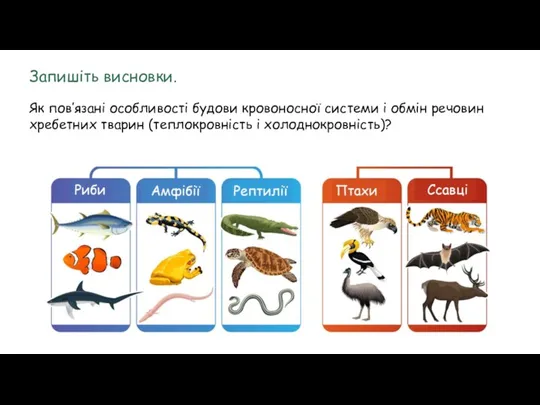 Запишіть висновки. Як пов’язані особливості будови кровоносної системи і обмін речовин хребетних тварин (теплокровність і холоднокровність)?