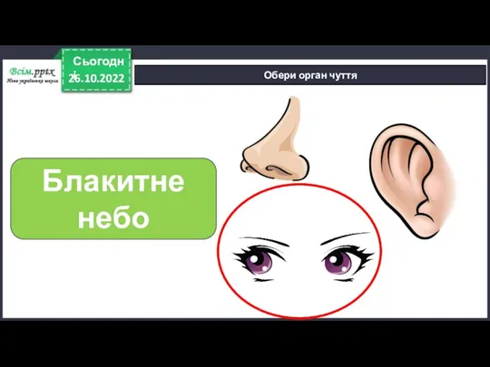 26.10.2022 Сьогодні Обери орган чуття Блакитне небо