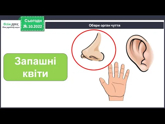 26.10.2022 Сьогодні Обери орган чуття Запашні квіти