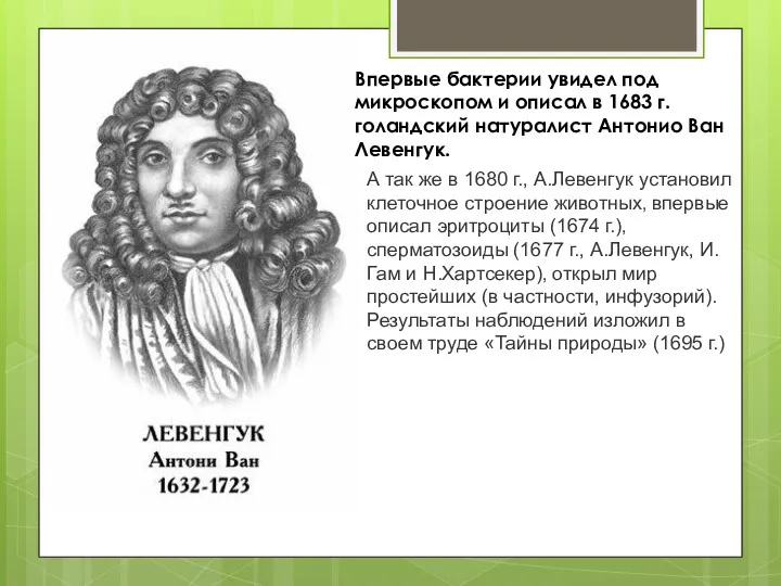 Впервые бактерии увидел под микроскопом и описал в 1683 г.