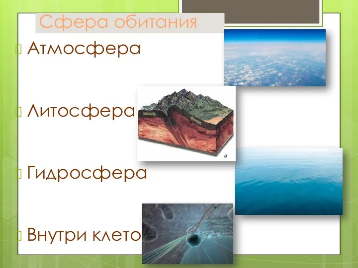 Сфера обитания Атмосфера Литосфера Гидросфера Внутри клеток