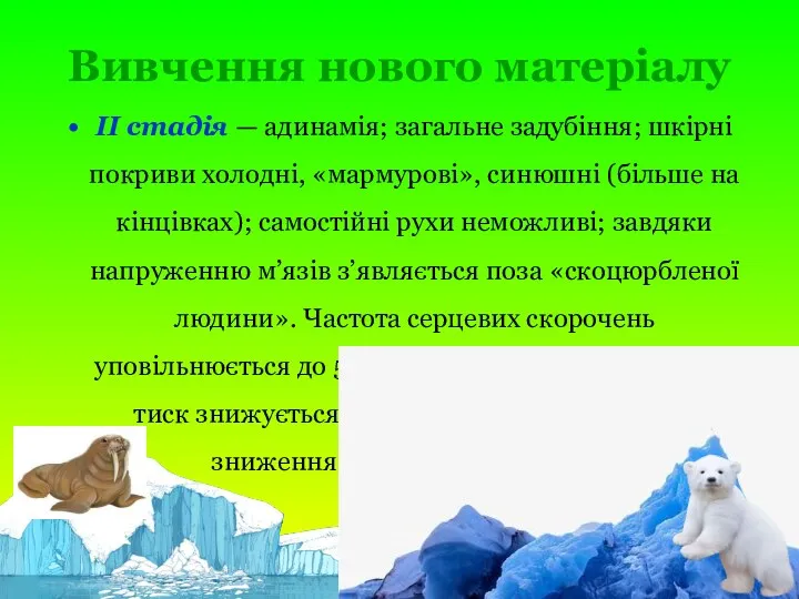 Вивчення нового матеріалу II стадія — адинамія; загальне задубіння; шкірні