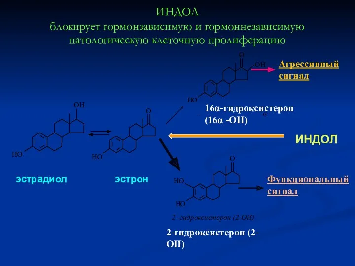 ИНДОЛ блокирует гормонзависимую и гормоннезависимую патологическую клеточную пролиферацию 2-гидроксистерон (2-ОН) 16α-гидроксистерон (16α -ОН) эстрадиол эстрон ИНДОЛ