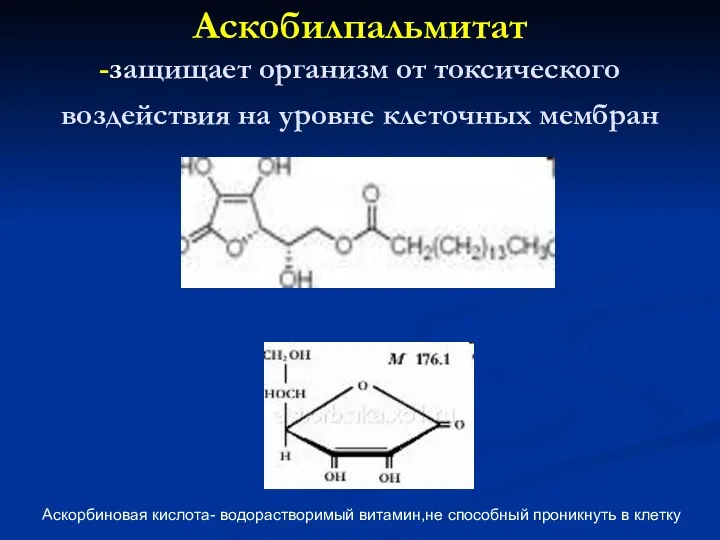 Аскобилпальмитат -защищает организм от токсического воздействия на уровне клеточных мембран Аскорбиновая кислота- водорастворимый