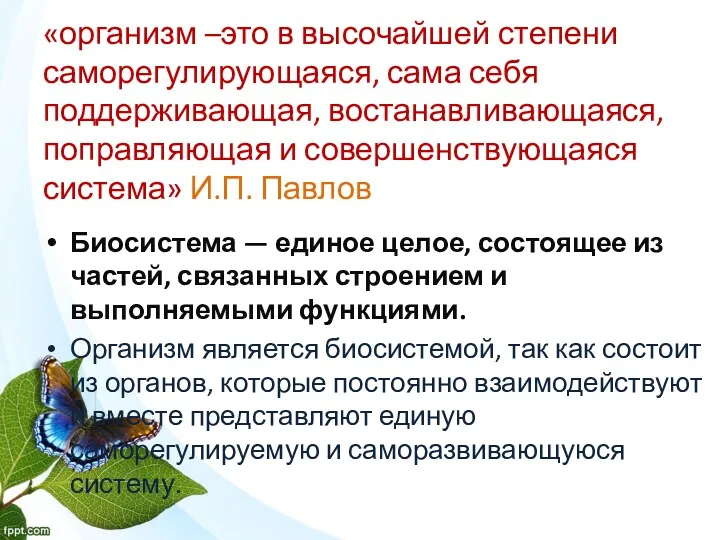 «организм –это в высочайшей степени саморегулирующаяся, сама себя поддерживающая, востанавливающаяся, поправляющая и совершенствующаяся