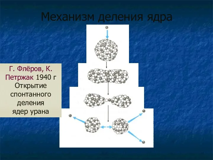 Механизм деления ядра Г. Флёров, К. Петржак 1940 г Открытие спонтанного деления ядер урана