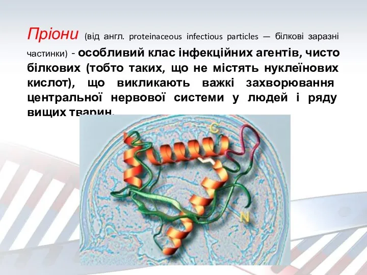 Пріони (від англ. proteinaceous infectious particles — білкові заразні частинки)