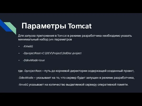 Параметры Tomcat Для запуска приложения в Tomcat в режиме разработчика